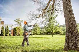 Best Tree Health Inspection  in Clarks Summit, PA